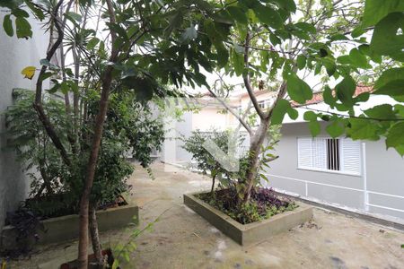 Casa para alugar com 250m², 5 quartos e 3 vagasQuintal