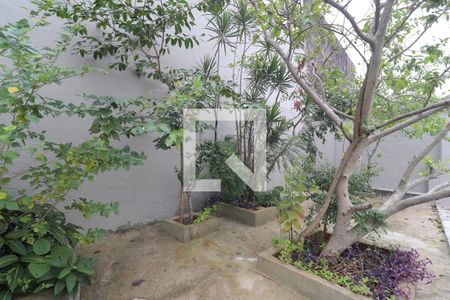 Casa para alugar com 250m², 5 quartos e 3 vagasQuintal