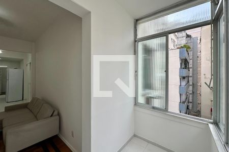 Sala de apartamento para alugar com 2 quartos, 80m² em Laranjeiras, Rio de Janeiro