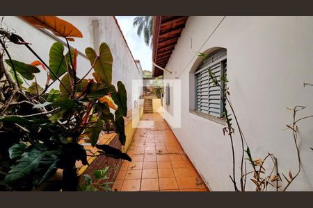Casa à venda com 300m², 3 quartos e 6 vagas Casa à venda com 300m², 3 quartos e 6 vagasQuintal