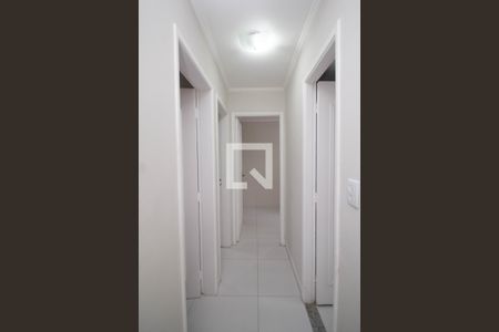 Corredor de apartamento à venda com 3 quartos, 69m² em Jardim Iris, São Paulo