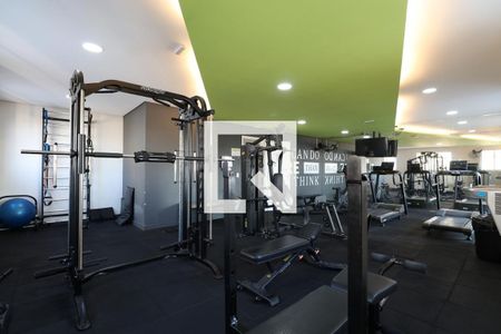 Apartamento para alugar com 34m², 2 quartos e sem vaga Apartamento para alugar com 34m², 2 quartos e sem vagaAcademia