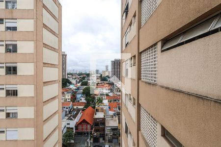 Sala de apartamento para alugar com 2 quartos, 70m² em Cambuci, São Paulo