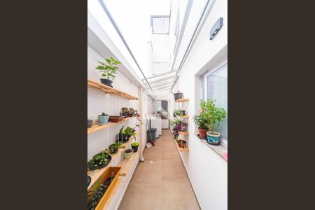 Apartamento à venda com 70m², 3 quartos e 2 vagasQuintal e Área de Serviço