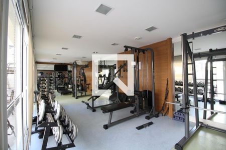 Apartamento à venda com 73m², 2 quartos e 1 vaga Apartamento à venda com 73m², 2 quartos e 1 vagaÁrea comum - Academia