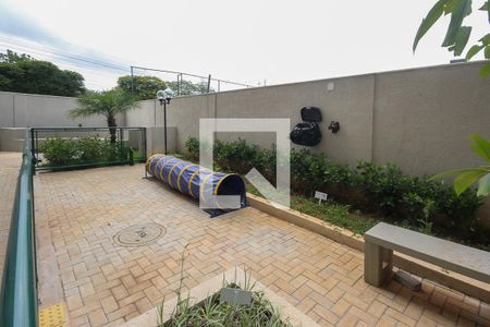 Apartamento para alugar com 35m², 2 quartos e sem vaga Apartamento para alugar com 35m², 2 quartos e sem vagaespaço pet