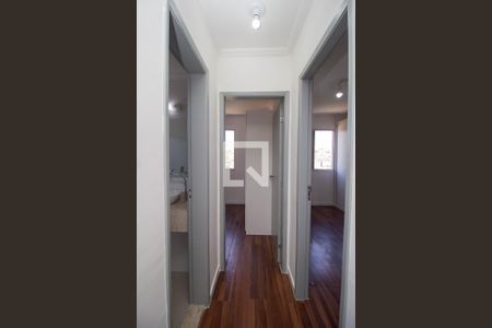 Corredor de apartamento para alugar com 2 quartos, 60m² em Vila Albertina, São Paulo