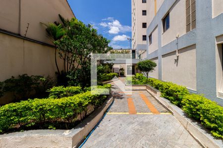 Apartamento para alugar com 50m², 2 quartos e 1 vagaÁrea comum