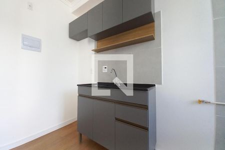 Apartamento para alugar com 37m², 2 quartos e sem vagaCozinha 