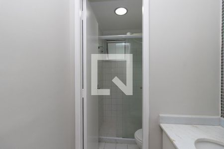 Banheiro de apartamento para alugar com 2 quartos, 53m² em Vila Gustavo, São Paulo