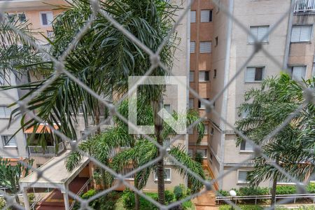 Apartamento para alugar com 72m², 3 quartos e 1 vaga Apartamento para alugar com 72m², 3 quartos e 1 vagaVista do quarto 3