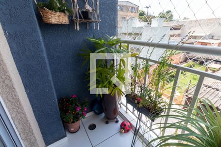 Varanda da Sala de apartamento para alugar com 2 quartos, 52m² em Vila Paranagua, São Paulo