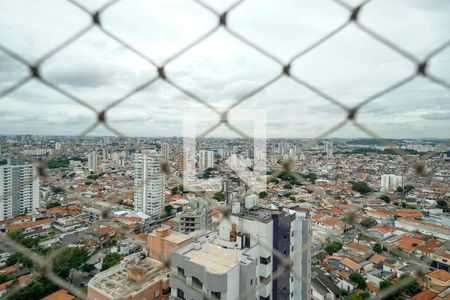 Apartamento à venda com 119m², 3 quartos e 3 vagasVista da suíte 02