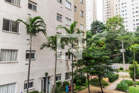 Apartamento para alugar com 51m², 2 quartos e 1 vaga Apartamento para alugar com 51m², 2 quartos e 1 vagaVista do Quarto 1