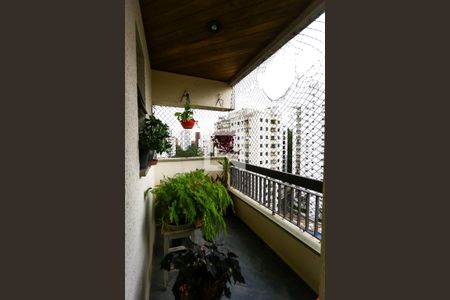 Apartamento à venda com 196m², 3 quartos e 3 vagas Apartamento à venda com 196m², 3 quartos e 3 vagassuíte 2 varanda