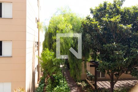 Apartamento para alugar com 70m², 3 quartos e 2 vagasVista do Quarto 01