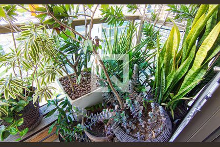 varanda de apartamento à venda com 2 quartos, 70m² em Jacarepaguá, Rio de Janeiro