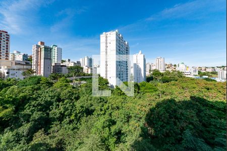 Sala vista de apartamento à venda com 2 quartos, 69m² em Buritis, Belo Horizonte