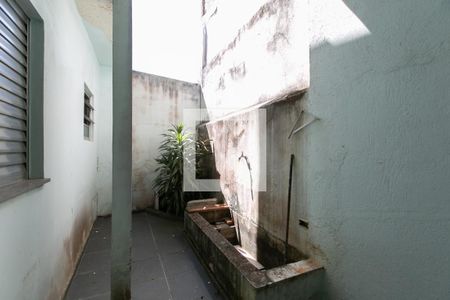 Casa para alugar com 350m², 5 quartos e 2 vagasQuintal