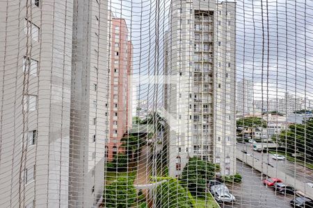Apartamento para alugar com 61m², 3 quartos e 2 vagasVista do Quarto 2