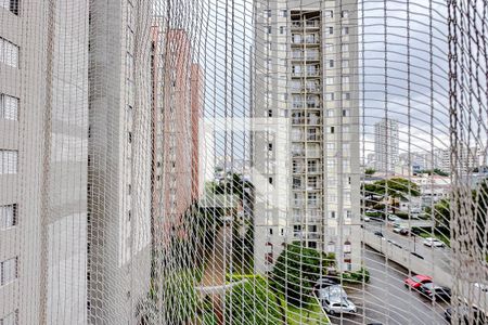 Apartamento para alugar com 61m², 3 quartos e 2 vagasvista do Quarto 3