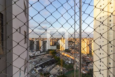 Varanda da Sala de Estar de apartamento à venda com 3 quartos, 80m² em Jardim Consorcio, São Paulo