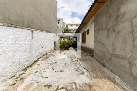 Casa à venda com 504m², 3 quartos e 5 vagasQuintal