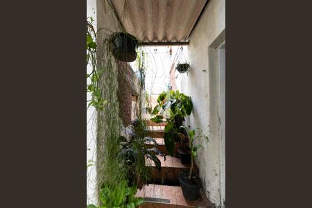 Casa à venda com 504m², 3 quartos e 5 vagasEscada