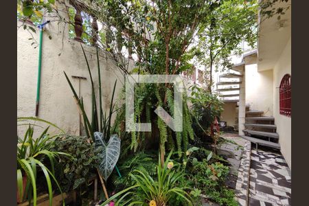 Casa para alugar com 216m², 3 quartos e 2 vagasJardim