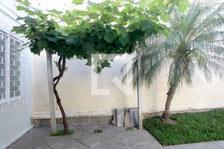 Casa para alugar com 90m², 3 quartos e 1 vagaQuarto 3 Vista