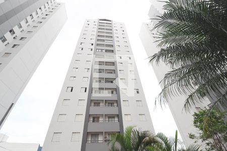 Apartamento para alugar com 76m², 3 quartos e 1 vaga Apartamento para alugar com 76m², 3 quartos e 1 vagaÁrea comum