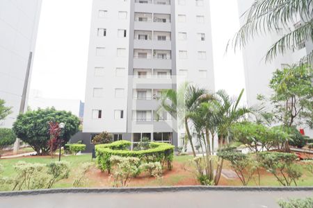 Apartamento para alugar com 76m², 3 quartos e 1 vaga Apartamento para alugar com 76m², 3 quartos e 1 vagaÁrea comum