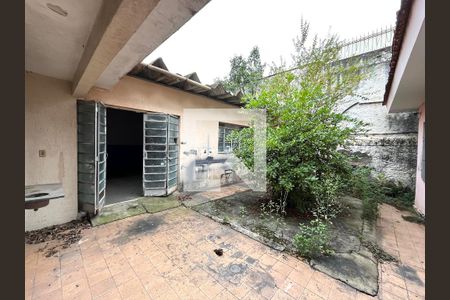 Casa à venda com 200m², 3 quartos e 4 vagas Casa à venda com 200m², 3 quartos e 4 vagasQuintal