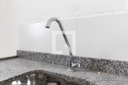 Apartamento para alugar com 41m², 2 quartos e 1 vagaCozinha - Torneira
