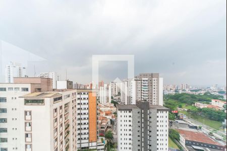 Apartamento à venda com 400m², 4 quartos e 8 vagasVista da Varanda da Sala de Video