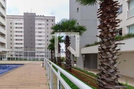 Apartamento à venda com 69m², 2 quartos e 1 vaga Apartamento à venda com 69m², 2 quartos e 1 vagaÁrea comum - Piscina