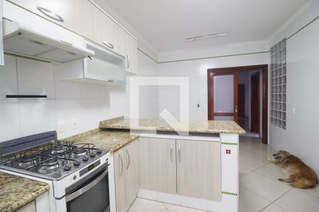 Casa à venda com 245m², 3 quartos e 3 vagasCozinha