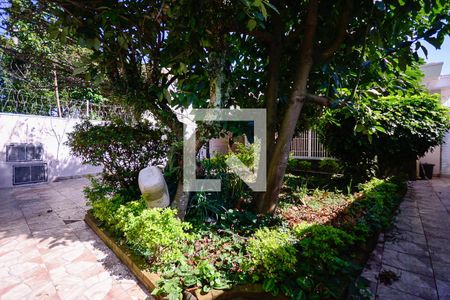 Casa à venda com 250m², 3 quartos e 11 vagasEntrada 