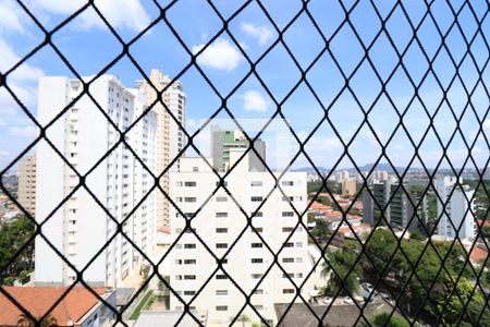 Apartamento à venda com 247m², 4 quartos e 4 vagasVista da Suíte 1