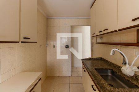 Cozinha de apartamento para alugar com 2 quartos, 51m² em Vila Ivone, São Paulo