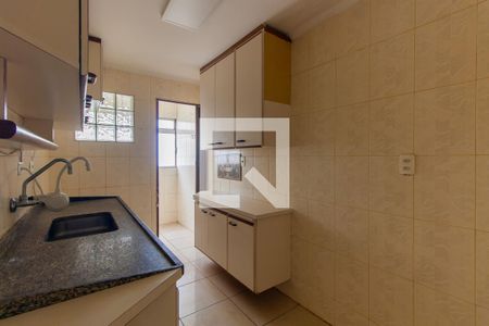 Cozinha de apartamento para alugar com 2 quartos, 51m² em Vila Ivone, São Paulo