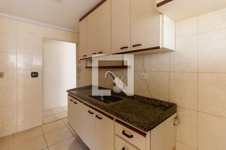 Cozinha de apartamento para alugar com 2 quartos, 51m² em Vila Ivone, São Paulo