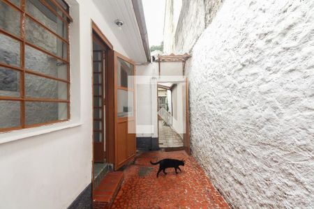 Casa à venda com 210m², 4 quartos e 3 vagas Casa à venda com 210m², 4 quartos e 3 vagasQuintal - Casa 2