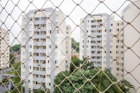 Vista da Sala de apartamento à venda com 2 quartos, 57m² em Continental, Osasco