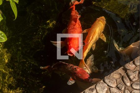 Apartamento à venda com 124m², 4 quartos e 3 vagasÁrea comum - Lago