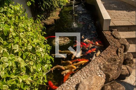 Apartamento à venda com 124m², 4 quartos e 3 vagasÁrea comum - Lago