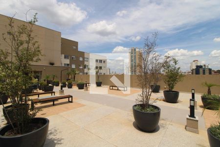 Apartamento para alugar com 35m², 2 quartos e sem vagaÁrea Comum - Terraço