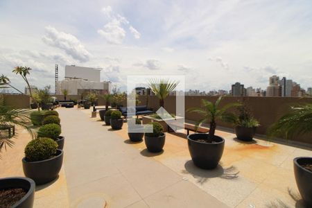 Apartamento para alugar com 35m², 2 quartos e sem vagaÁrea Comum - Terraço