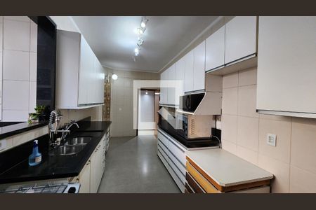 Apartamento para alugar com 202m², 4 quartos e 2 vagasCozinha - Armários