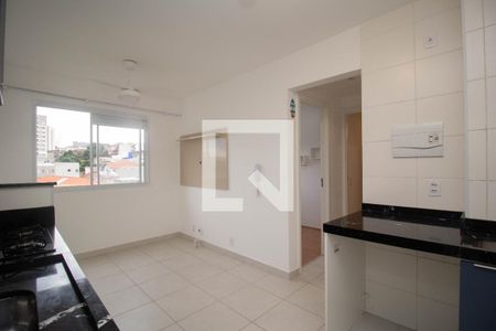 Apartamento para alugar com 32m², 2 quartos e sem vaga Apartamento para alugar com 32m², 2 quartos e sem vagaCozinha